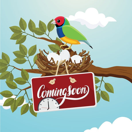 10TH GEN INTEL I5-10400T OPS-C